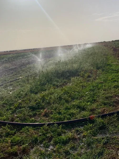 Vente Terrain Agricole Saïda Sidi ahmed