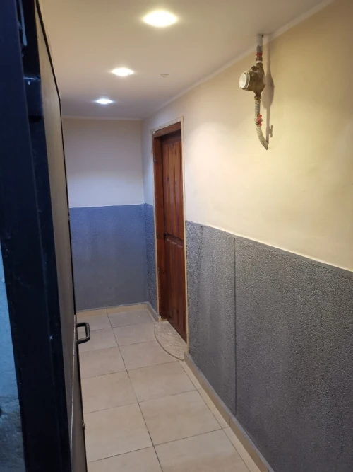 Location Appartement Studio Alger Alger centre