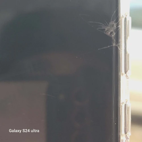 Samsung S23 ultra