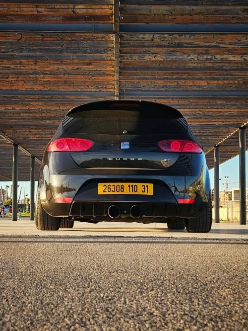 Seat Leon 2010 