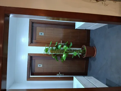 porte en bois sur mesure