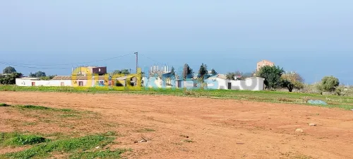 Vente Terrain Tipaza Ain tagourait