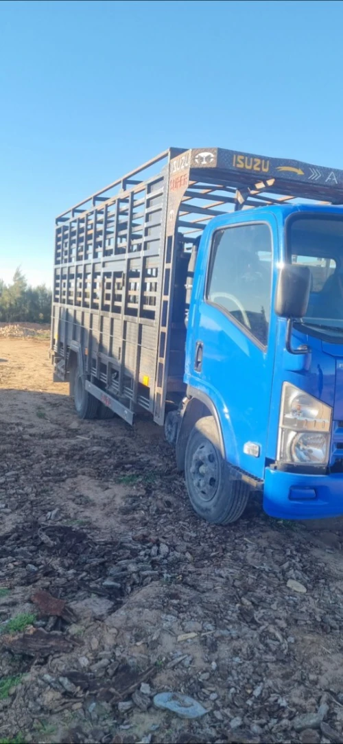 Isuzu NPR 
