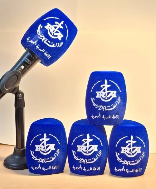 Bonnette microphone personnalisée