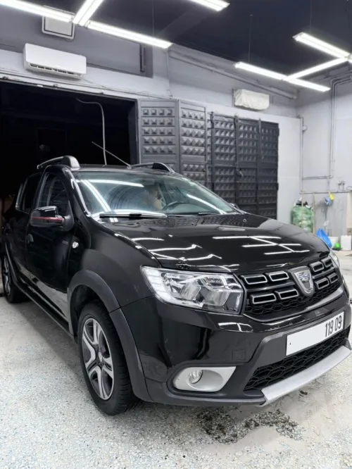 Dacia Sandero 2019 Stepway techroad