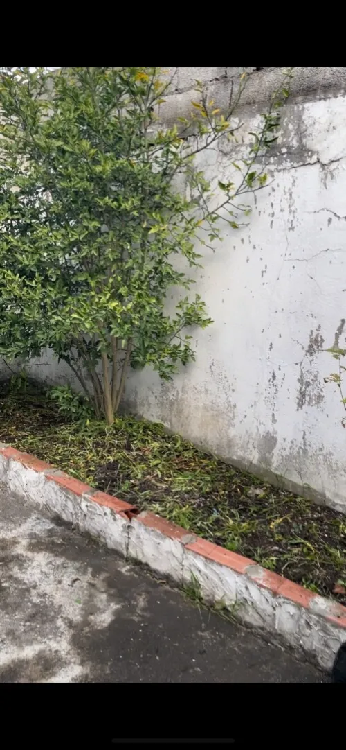Vente Appartement F3 Jijel El ancer