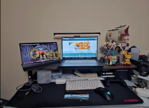moniteur portable 
