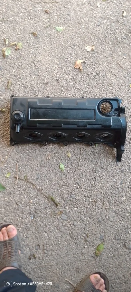 Cache culbuteur