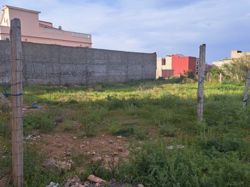 Vente Terrain Mostaganem Sayada