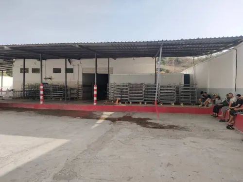 Vente Hangar Constantine Zighoud youcef