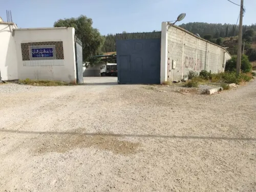 Vente Hangar Constantine Zighoud youcef