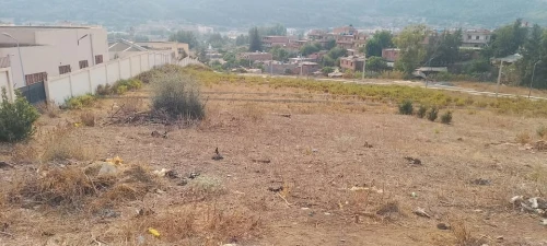 Vente Terrain Blida El affroun