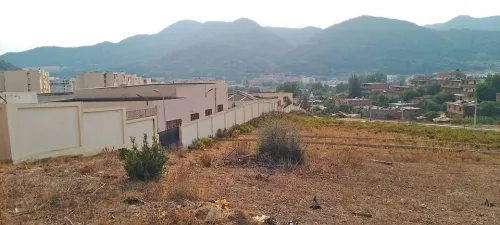 Vente Terrain Blida El affroun