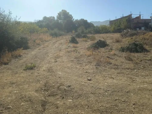 Location Terrain Blida Bougara