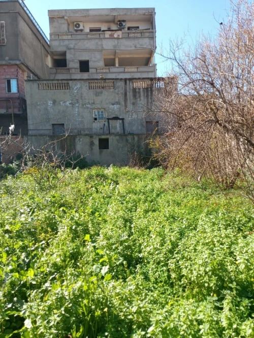 Vente Villa Blida Larbaa