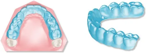 Maestro 3D v6.0_2022