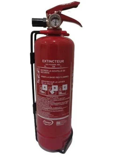 Extincteur Voiture