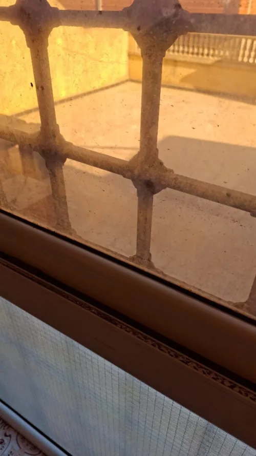 Location Appartement Niveau de villa Studio Alger Bab ezzouar