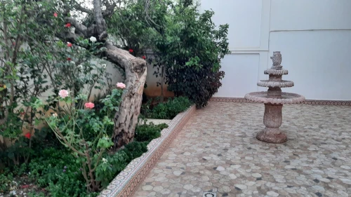 Location Villa Alger Hydra