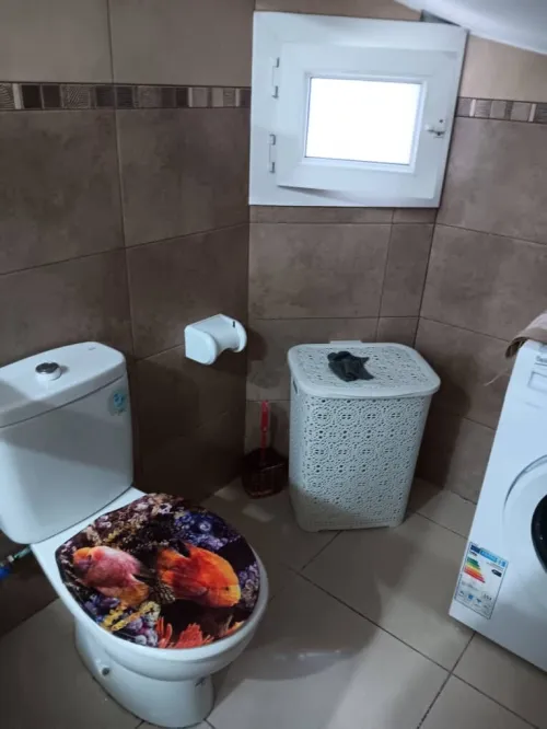 Location Appartement F3 Alger El mouradia