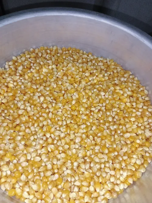 Broyeur pour légumes secs amandes arachide