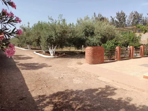 Vente bien immobilier Tlemcen Remchi