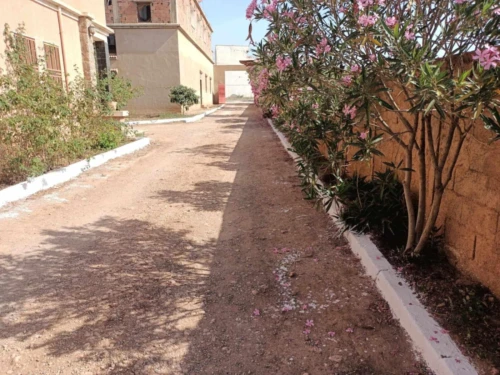 Vente bien immobilier Tlemcen Remchi
