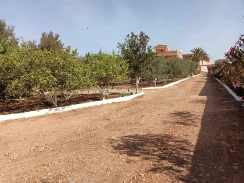 Vente bien immobilier Tlemcen Remchi