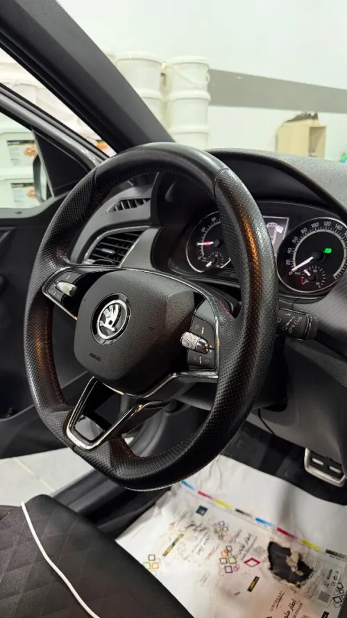 Skoda Fabia 2021 Monte Carlo