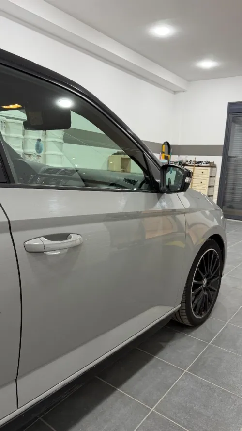 Skoda Fabia 2021 Monte Carlo