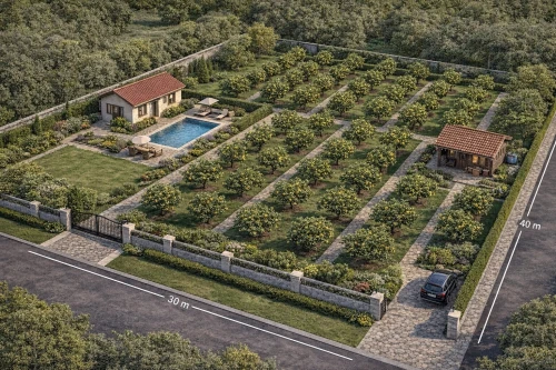 Vente Terrain Tlemcen Beni mester