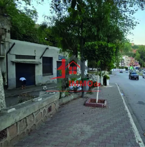 Location Local Alger Bab el oued