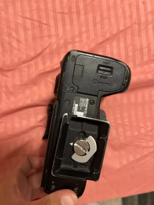 Sony aplha 7R iii