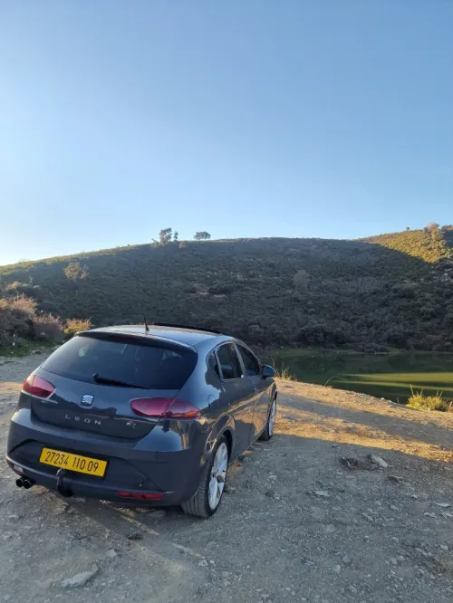 Seat Leon 2010 Tdi