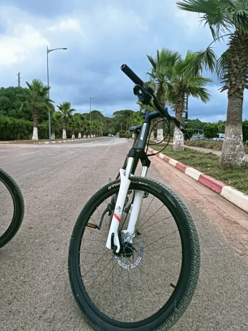 rockrider st 120