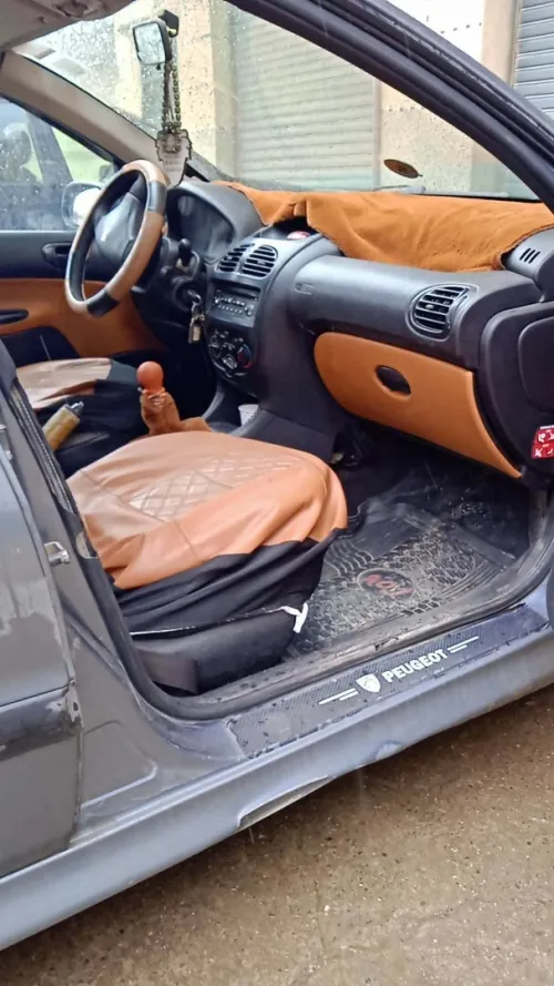Peugeot 206 Sedan 2008 206 Sedan