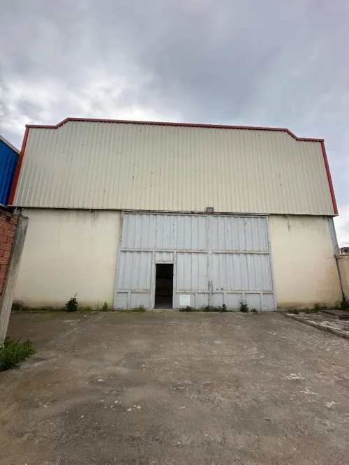 Vente Hangar - Usine Blida Ouled el alleug