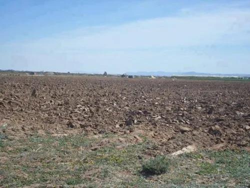 Vente Terrain Djelfa Djelfa