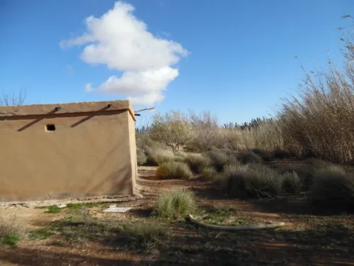 Vente Terrain Djelfa Djelfa