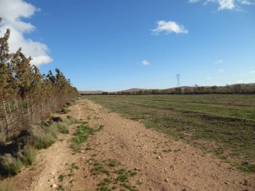 Vente Terrain Djelfa Djelfa