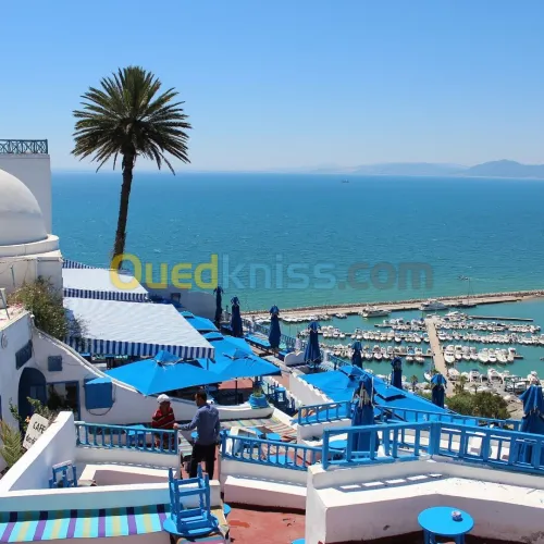 VOYAGES ORGANISE Djerba