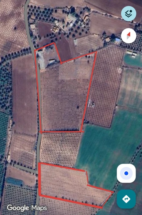 Vente Terrain Agricole Tlemcen Hennaya