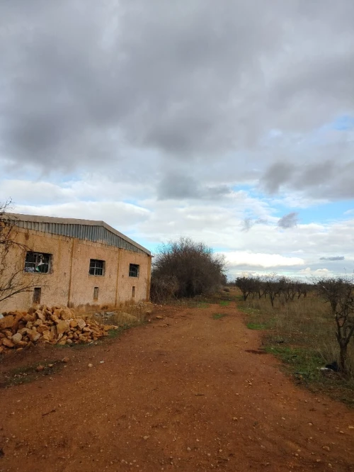 Vente Terrain Agricole Tlemcen Hennaya