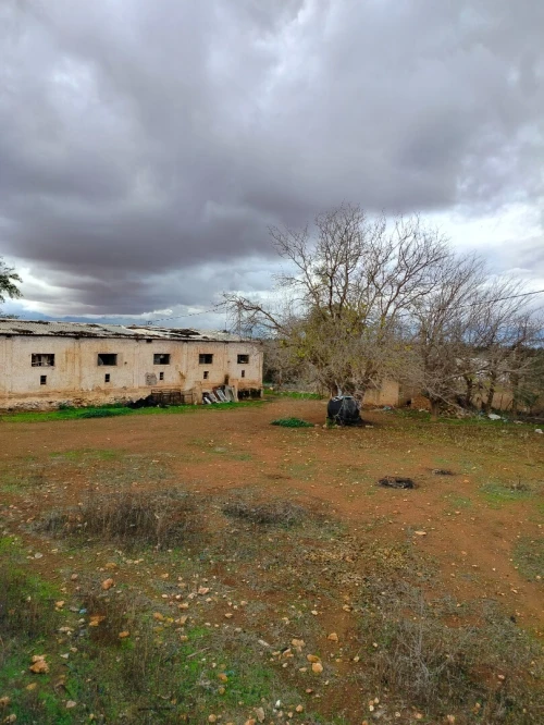 Vente Terrain Agricole Tlemcen Hennaya