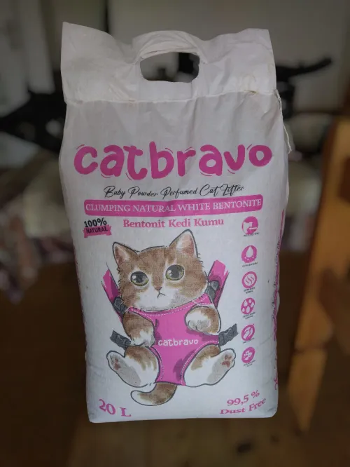 litier pour chat 