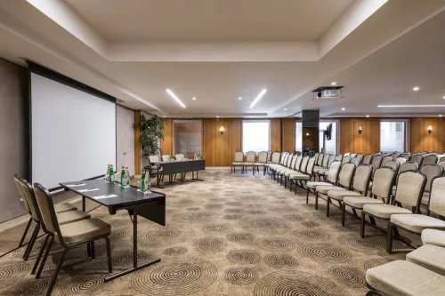 Pose de moquette, revêtement mural en PVC, plafond.
