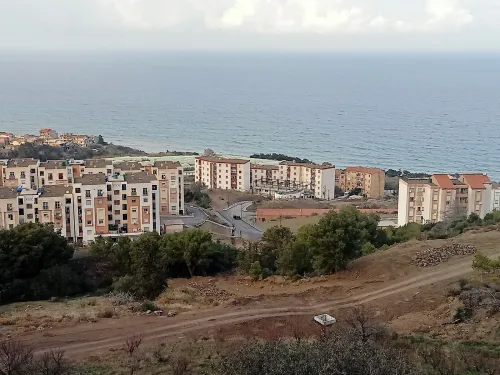 Vente Terrain Tipaza Larhat