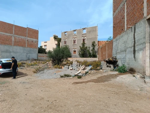 Vente Terrain Tlemcen Souahlia