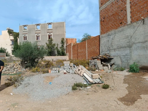 Vente Terrain Tlemcen Souahlia