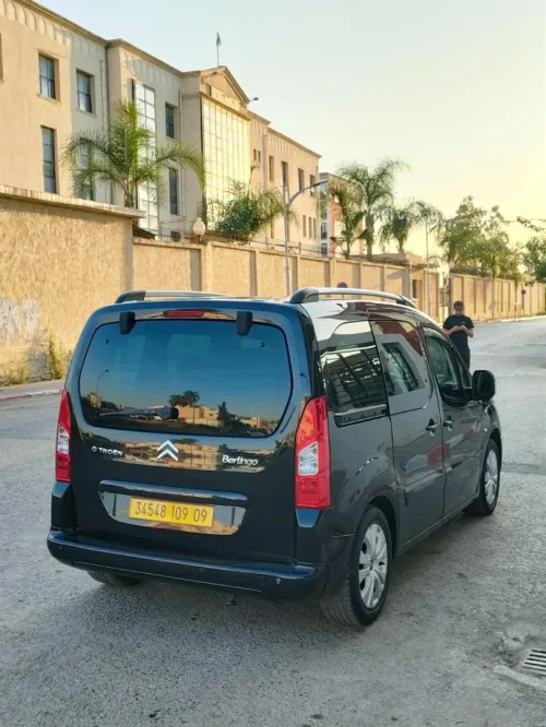 Citroen Berlingo Multispace 2009 